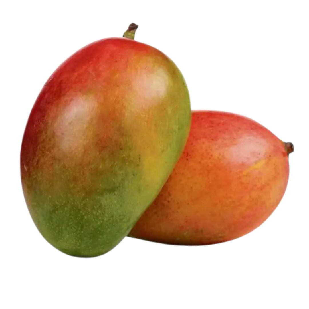 LAL BADSHAH mango
