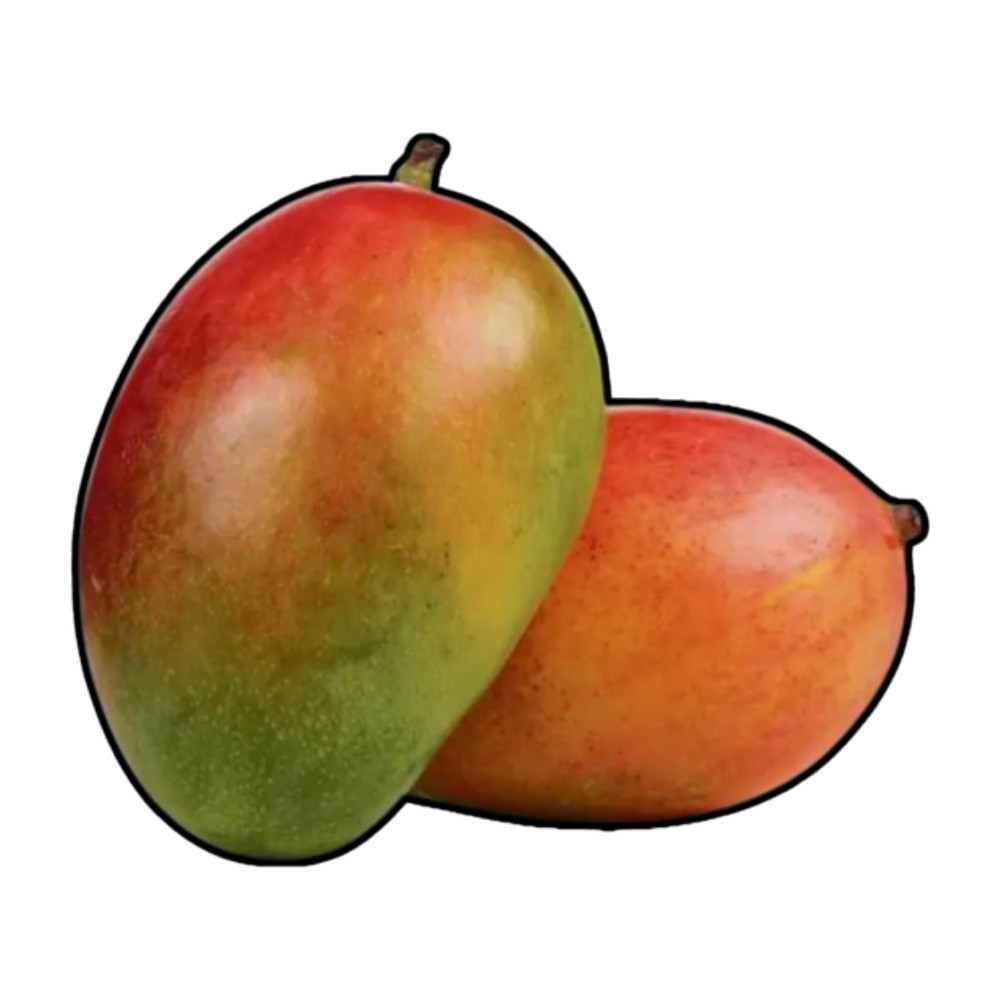 LAL BADSHAH mango